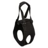 Trixie Ceinture Aide à La Marche / L-XL / 75-85 Cm 1 Trixie Ceinture Aide à La Marche / L-XL / 75-85 Cm -Trixie Magasin d4b67b5dc290f7bb11053ab948c6a4a9eb2d75f6a58d96b54a4dace404611a52 1