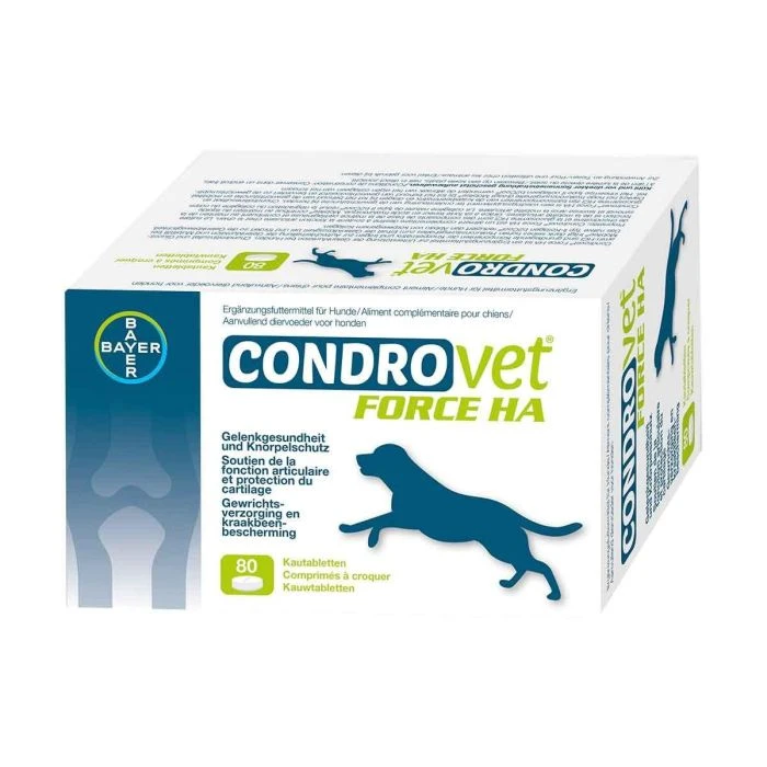 Condrovet Chien 3 Condrovet Chien