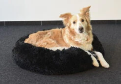 Flamingo Panier Krems Rond Noir 70cm -Trixie Magasin dd063b37f56b55a2d2881154a00697cfb0927245ac2924ff515d6864bc0f3c70