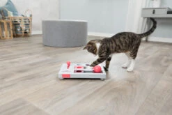 Trixie Jeu De Stratégie Pour Chat Brain Mover 25 X 20 Cm -Trixie Magasin dfebe8af37cf4cf9840626b20e514759747511f72fec25bb1c3ab243e5fae317