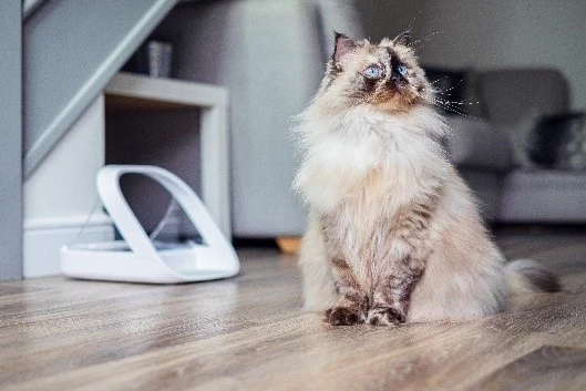 Sureflap Distributeur De Nourriture Connect Surefeed 8 Sureflap Distributeur De Nourriture Connect Surefeed – Image 6