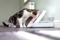 Sureflap Distributeur De Nourriture Connect Surefeed 15 Sureflap Distributeur De Nourriture Connect Surefeed -Trixie Magasin distributeur de nourriture connect surefeed 9