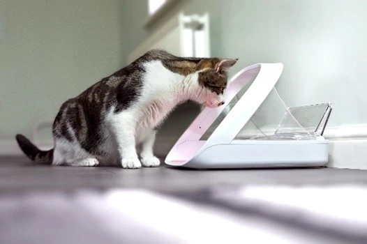 Sureflap Distributeur De Nourriture Connect Surefeed 9 Sureflap Distributeur De Nourriture Connect Surefeed – Image 7