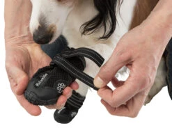 Trixie Chaussures De Protection Walker Active / L-XL 2pcs. -Trixie Magasin e08062450bd8a32b408258fb4c31ff7f7447657b0f4f3fa1ecca0f8550d45313 1