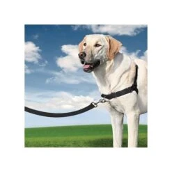 PetSafe Harnais Easy Walk -Trixie Magasin eb4fdb80c2f8d99ea26df9f6cdeca2a83a50e5994c3be22754a3f4f6b468f993
