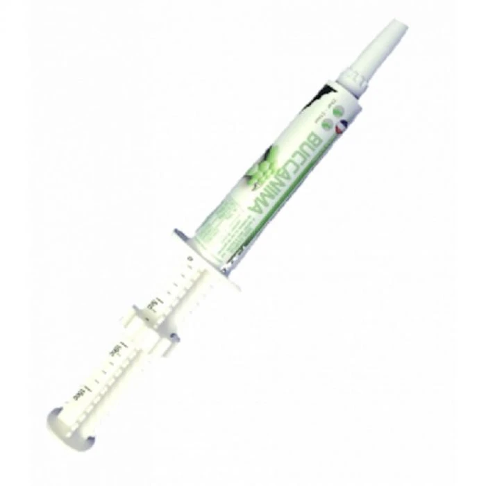 Buccanima Gel Oral Seringue 15ml 3 Buccanima Gel Oral Seringue 15ml