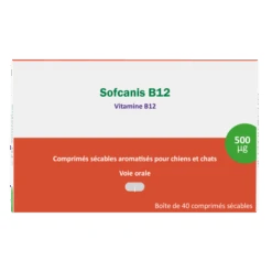 Sofcanis B12 40 Comprimés