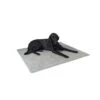 KERBL Tapis Thermique Antidérapant -Trixie Magasin fb61a3280762e7ad519dcd937218ec0fe60508513be3040df707ee4e498184c4
