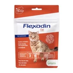 Flexadin Chat 120 Bouchées