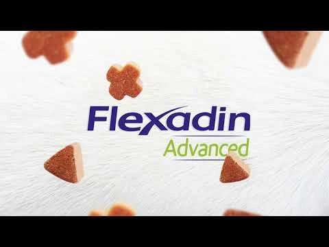 Flexadin Advanced Chat 4 Flexadin Advanced Chat – Image 2