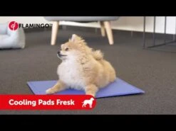 Flamingo Tapis Rafraîchissant Fresk - M (70x50cm) 9 Flamingo Tapis Rafraîchissant Fresk - M (70x50cm) -Trixie Magasin hqdefault 5 4