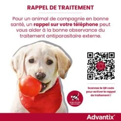 Bayer Advantix Grand Chien 25-40Kg -Trixie Magasin rappel traitement advantix FR 6