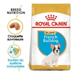 Royal Canin French Bulldog Chiot Pour Chien 10kg -Trixie Magasin royal canin bouledogue francais puppy bouledogue francais junior 1