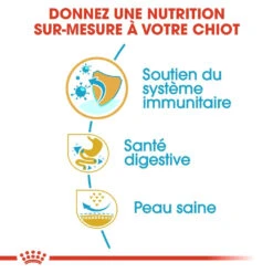 Royal Canin French Bulldog Chiot Pour Chien 10kg -Trixie Magasin royal canin bouledogue francais puppy bouledogue francais junior 2