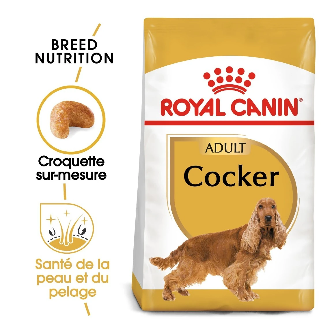 Royal Canin Cocker Adult Pour Chien 12kg 5 Royal Canin Cocker Adult Pour Chien 12kg – Image 3