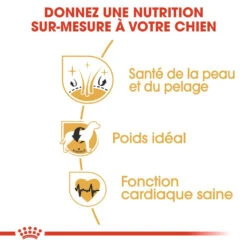 Royal Canin Cocker Adult Pour Chien 12kg 10 Royal Canin Cocker Adult Pour Chien 12kg -Trixie Magasin royal canin cocker adult cocker 2 1