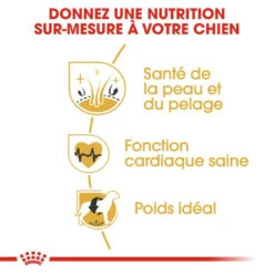 Royal Canin Golden Retriever Adult Pour Chien 12kg -Trixie Magasin royal canin golden retriever adult croquettes pour chien golden retriever 2