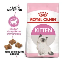 Royal Canin Chaton - 10kg -Trixie Magasin royal canin kitten second age kitten second age 1