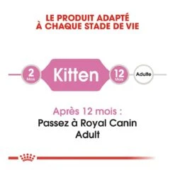 Royal Canin Chaton - 10kg -Trixie Magasin royal canin kitten second age kitten second age 2