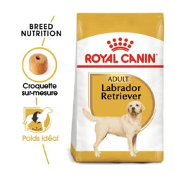 Royal Canin Labrador Retriever Adult Pour Chien 12kg -Trixie Magasin royal canin labrador retriever adult croquettes pour chien labrador retriever adulte 1