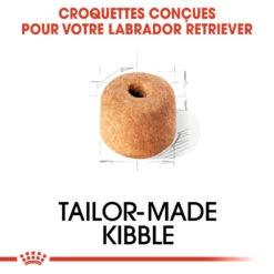 Royal Canin Labrador Retriever Adult Pour Chien 12kg -Trixie Magasin royal canin labrador retriever adult croquettes pour chien labrador retriever adulte 3