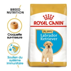 Nouvelles versions -Trixie Magasin royal canin labrador retriever puppy labrador retriever junior 1
