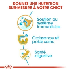 Royal Canin Labrador Retriever Chiot Pour Chien 3kg -Trixie Magasin royal canin labrador retriever puppy labrador retriever junior 2