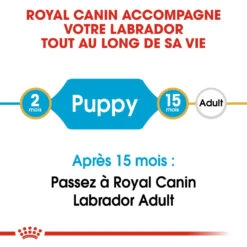 Royal Canin Labrador Retriever Chiot Pour Chien 12kg -Trixie Magasin royal canin labrador retriever puppy labrador retriever junior 3 1