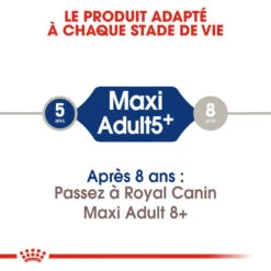 Royal Canin Maxi Adult 5+ Pour Chien 10kg -Trixie Magasin royal canin maxi adult croquettes pour chien maxi adult 2