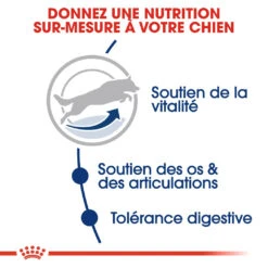 Royal Canin Maxi Adult 5+ Pour Chien 10kg -Trixie Magasin royal canin maxi adult croquettes pour chien maxi adult 3