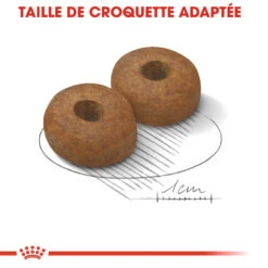 Royal Canin Maxi Ageing 8+ Pour Chien 15kg -Trixie Magasin royal canin maxi ageing croquettes pour chien maxi ageing 2