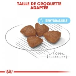 Royal Canin Mini Starter Mother & Babydog - 8Kg -Trixie Magasin royal canin mini starter mini starter 2