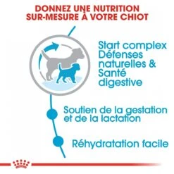 Royal Canin Mini Starter Mother & Babydog - 8Kg -Trixie Magasin royal canin mini starter mini starter 3