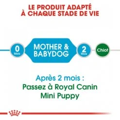 Royal Canin Mini Starter Mother & Babydog - 8Kg -Trixie Magasin royal canin mini starter mini starter 4