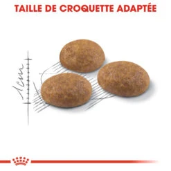 Royal Canin Outdoor Pour Chat 10kg -Trixie Magasin royal canin outdoor outdoor 2