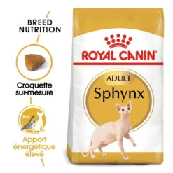 Royal Canin Sphynx Adult Pour Chat 10kg -Trixie Magasin royal canin sphynx adult sphynx 1
