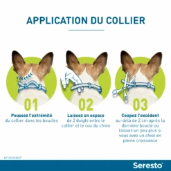 Seresto Collier Chien 13 Seresto Collier Chien -Trixie Magasin seresto application du collier chez le chien