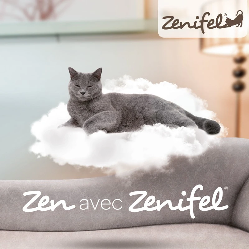 Virbac Zenifel Spray 20ml 4 Virbac Zenifel Spray 20ml – Image 2